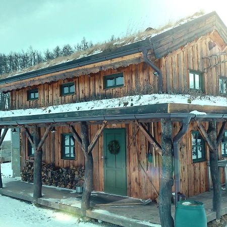 Chalet Boruvka - Biofarma Na Samote V Lesich Benesov  外观 照片
