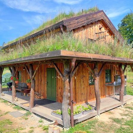 Chalet Boruvka - Biofarma Na Samote V Lesich Benesov  外观 照片