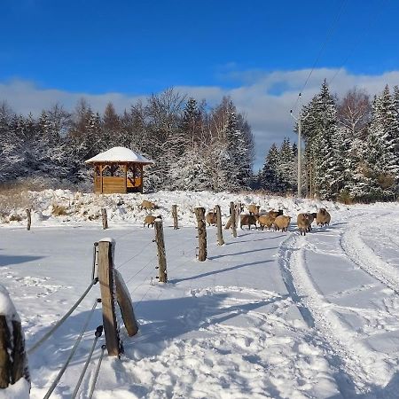 Chalet Boruvka - Biofarma Na Samote V Lesich Benesov  外观 照片