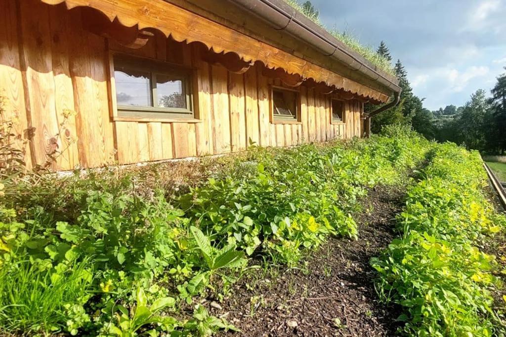 Chalet Boruvka - Biofarma Na Samote V Lesich Benesov  外观 照片