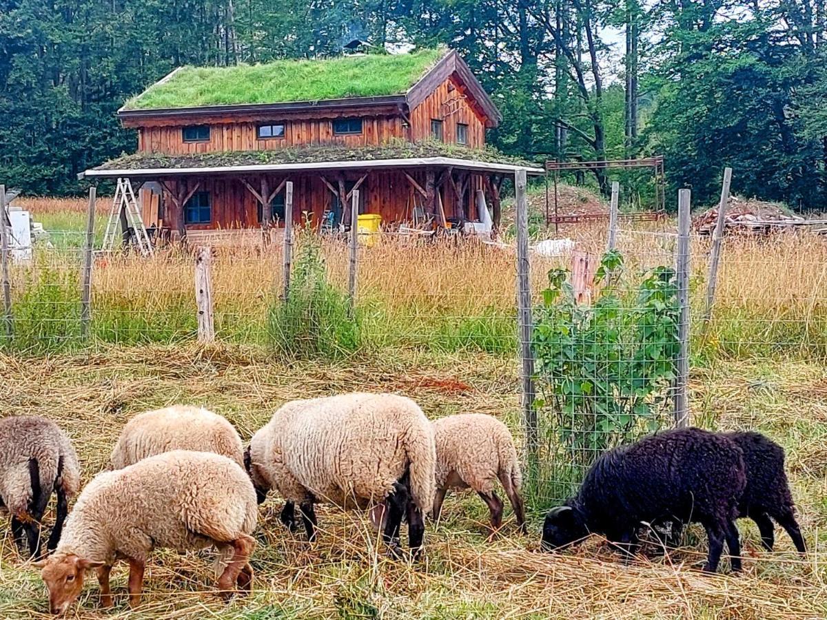 Chalet Boruvka - Biofarma Na Samote V Lesich Benesov  外观 照片