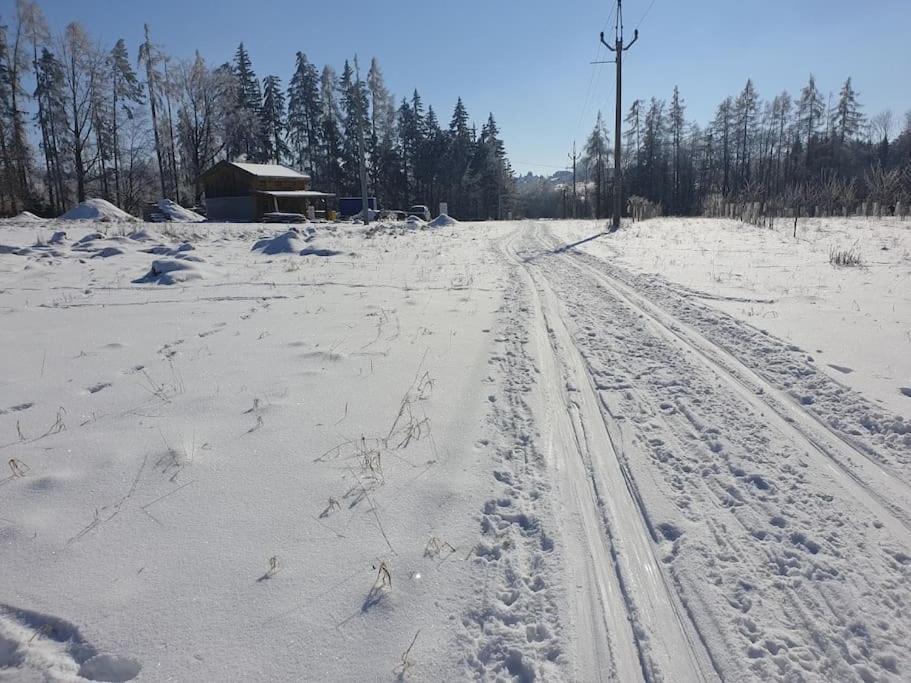 Chalet Boruvka - Biofarma Na Samote V Lesich Benesov  外观 照片