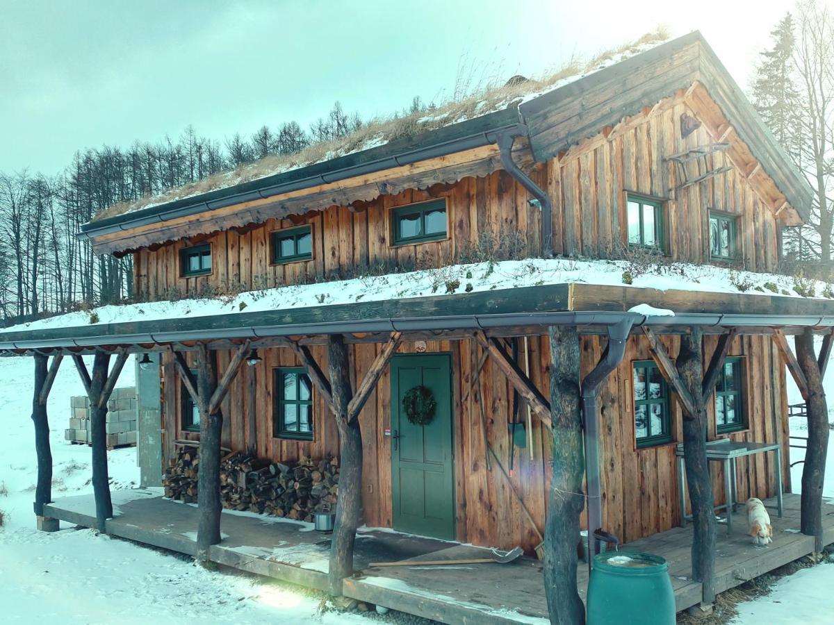 Chalet Boruvka - Biofarma Na Samote V Lesich Benesov  外观 照片
