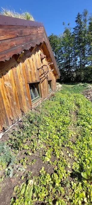 Chalet Boruvka - Biofarma Na Samote V Lesich Benesov  外观 照片