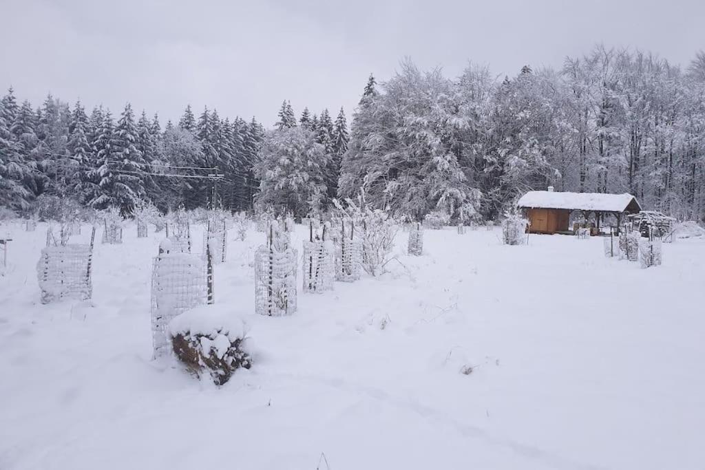 Chalet Boruvka - Biofarma Na Samote V Lesich Benesov  外观 照片