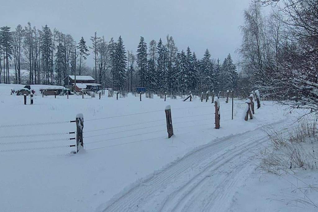 Chalet Boruvka - Biofarma Na Samote V Lesich Benesov  外观 照片