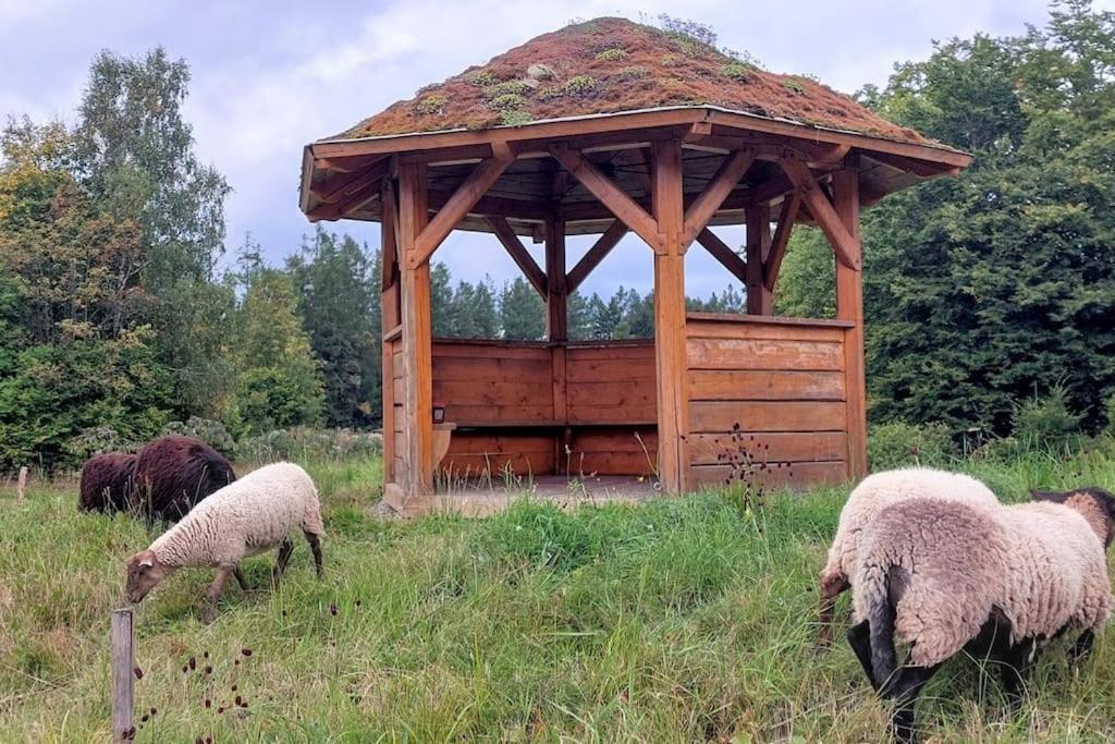 Chalet Boruvka - Biofarma Na Samote V Lesich Benesov  外观 照片