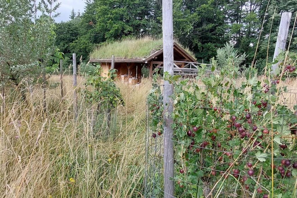 Chalet Boruvka - Biofarma Na Samote V Lesich Benesov  外观 照片