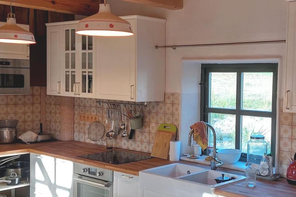 Chalet Boruvka - Biofarma Na Samote V Lesich Benesov  外观 照片