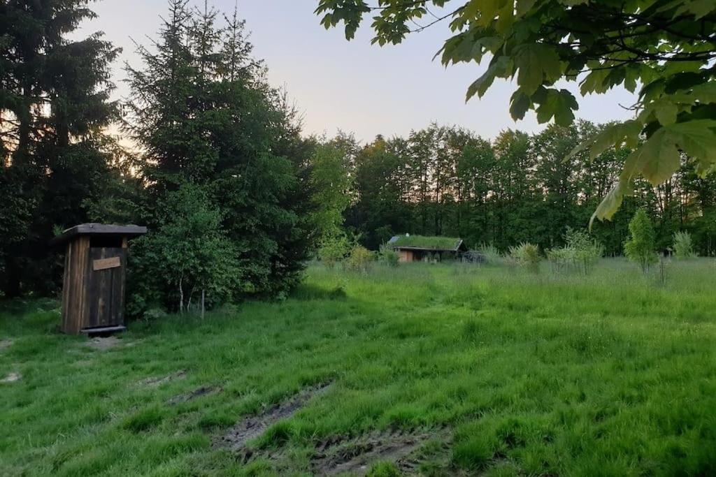 Chalet Boruvka - Biofarma Na Samote V Lesich Benesov  外观 照片