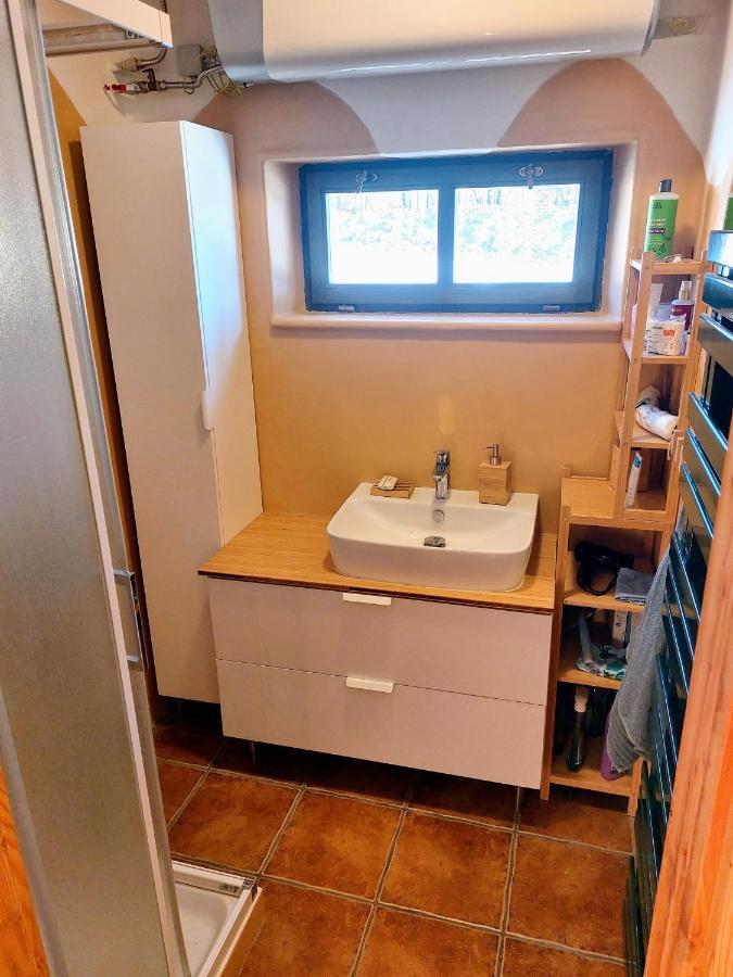 Chalet Boruvka - Biofarma Na Samote V Lesich Benesov  外观 照片