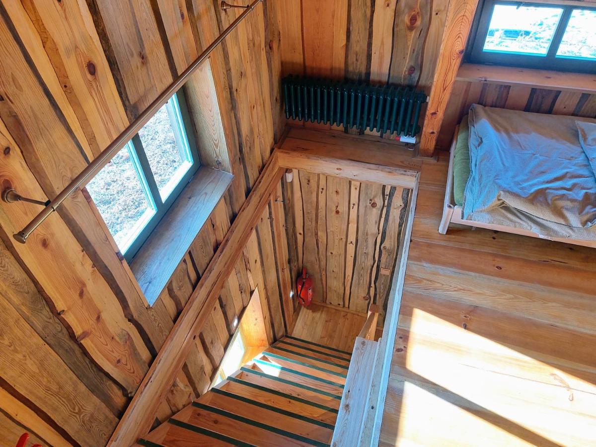Chalet Boruvka - Biofarma Na Samote V Lesich Benesov  外观 照片