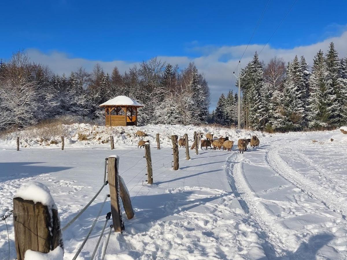 Chalet Boruvka - Biofarma Na Samote V Lesich Benesov  外观 照片